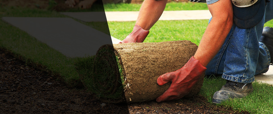 Compton Landscapers